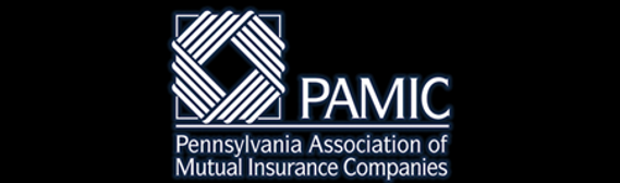 PAMIC logo