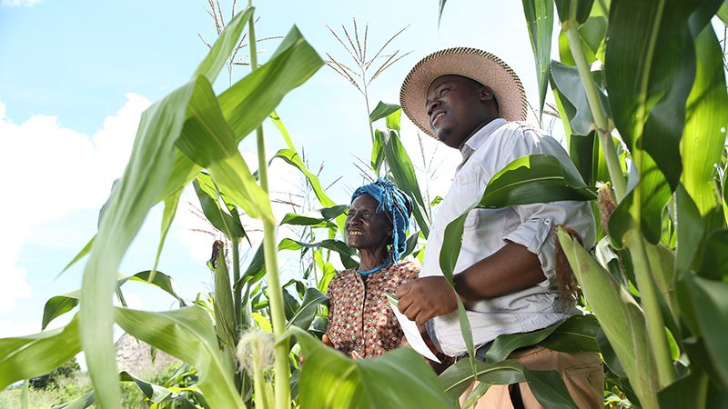 farmers in Zimbabwe